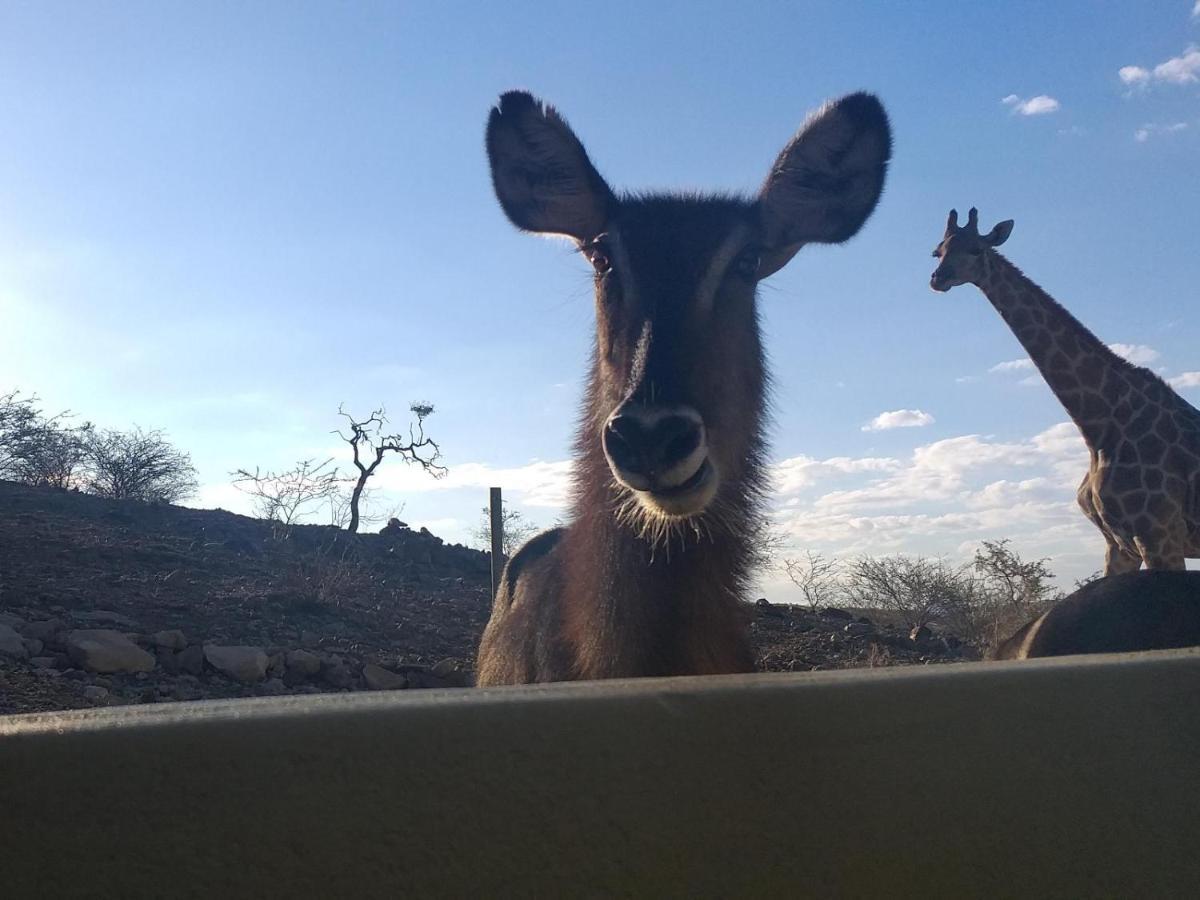 Uitkyk Guest Farm Ξενοδοχείο Usakos Εξωτερικό φωτογραφία