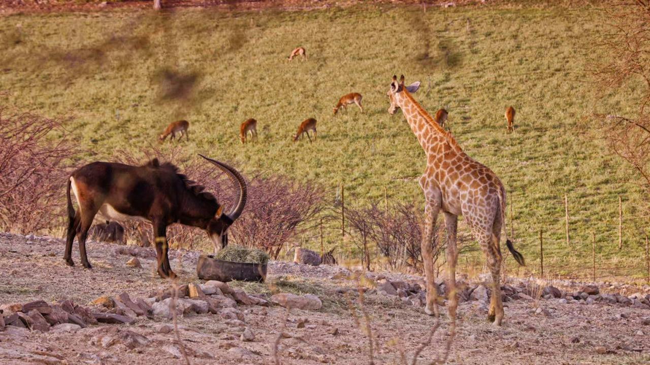 Uitkyk Guest Farm Ξενοδοχείο Usakos Εξωτερικό φωτογραφία