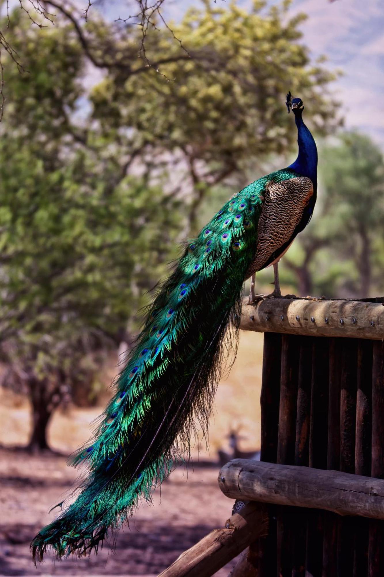 Uitkyk Guest Farm Ξενοδοχείο Usakos Εξωτερικό φωτογραφία