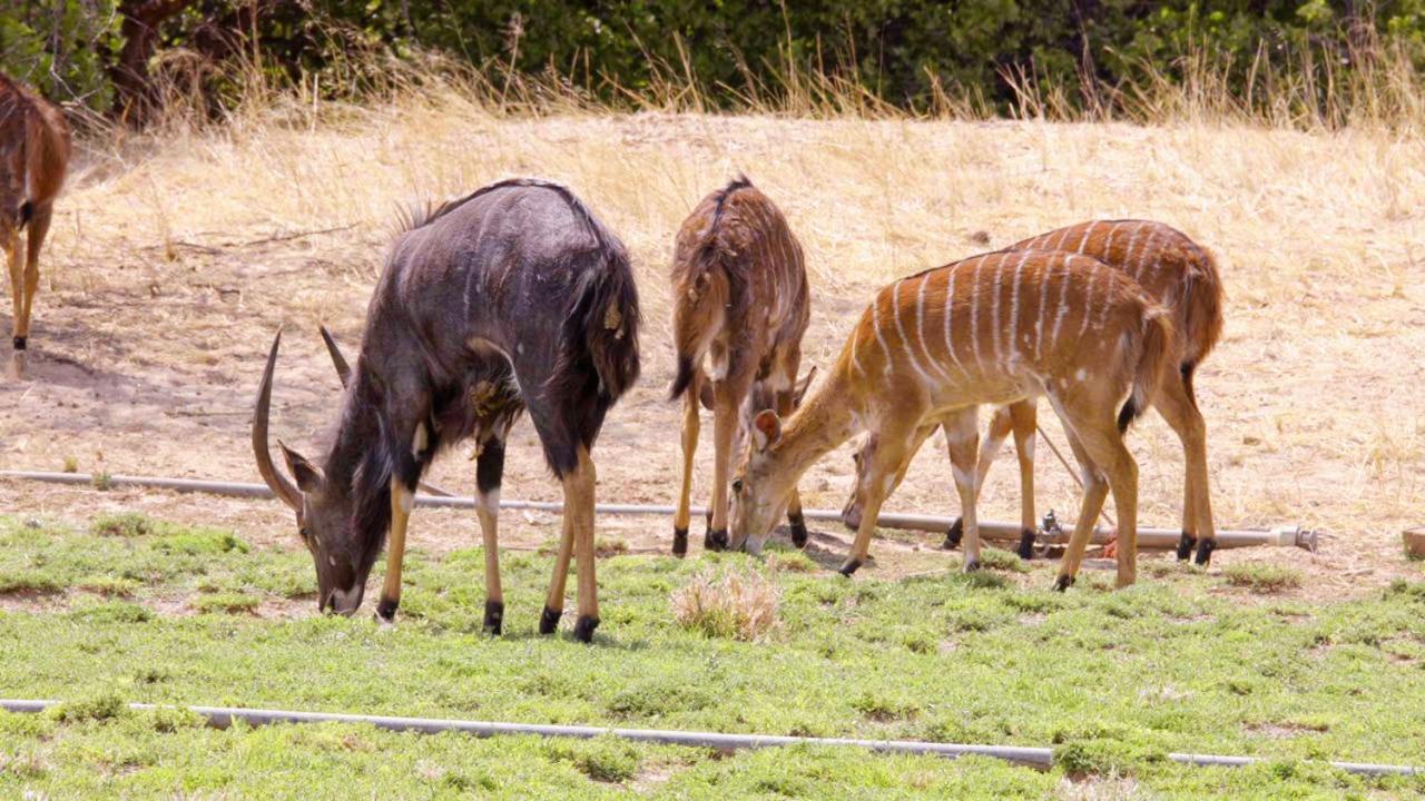 Uitkyk Guest Farm Ξενοδοχείο Usakos Εξωτερικό φωτογραφία